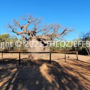 HWGACh78-159C | Travelling Around Australia with Jeff Banks