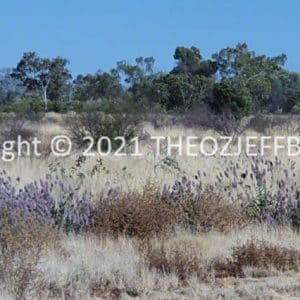 HWGACh78-61 | Travelling Around Australia with Jeff Banks