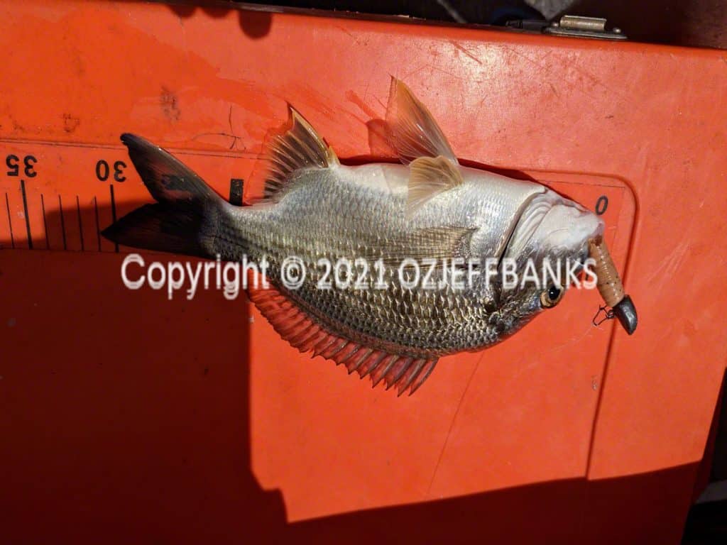 Fish Tales - Chapter 2 - 19 February 2022 | Travelling Around Australia with Jeff Banks
