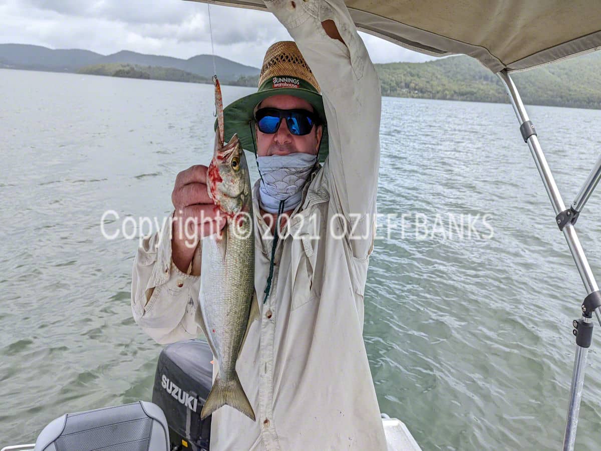 Fish Tales - Chapter 4 - 26 February 2022 | Travelling Around Australia with Jeff Banks