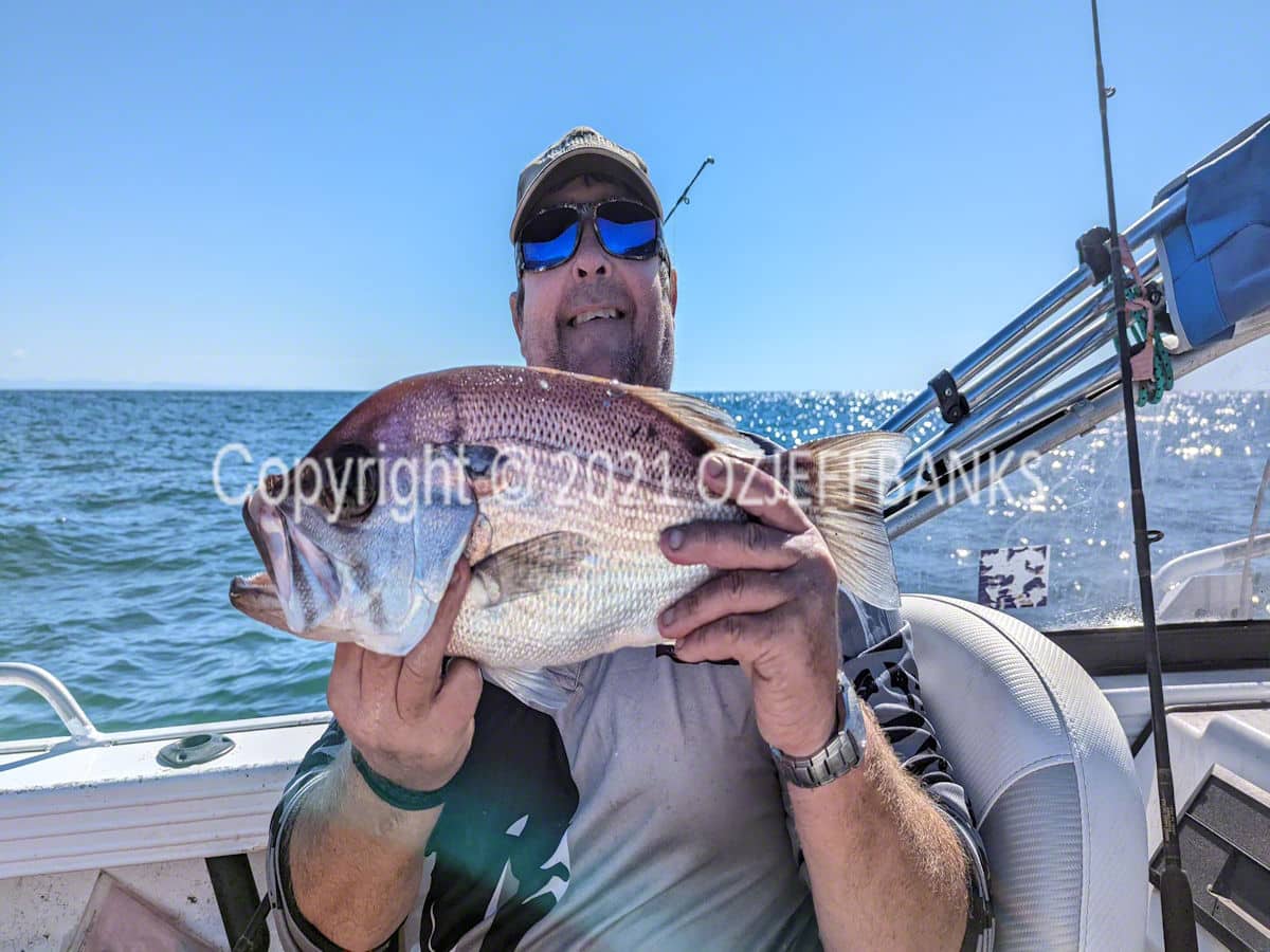 Fish Tales - Chapter 7 - 5 April 2022 | Travelling Around Australia with Jeff Banks
