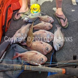 FTCh07-17