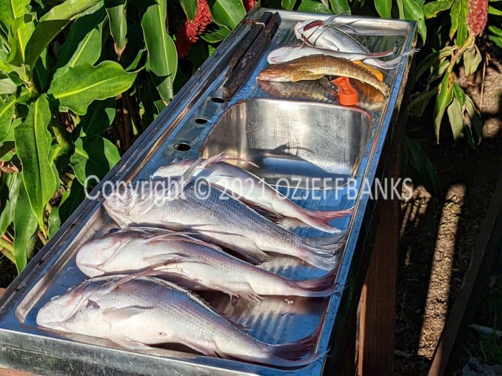 Fish Tales - Chapter 7 - 5 April 2022 | Travelling Around Australia with Jeff Banks