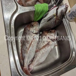 FTCh07-21