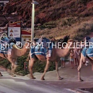 HWGACh87-110 | Travelling Around Australia with Jeff Banks