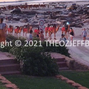 HWGACh87-91 | Travelling Around Australia with Jeff Banks