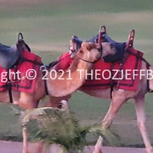 HWGACh87-94 | Travelling Around Australia with Jeff Banks