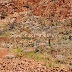 HWGACh100-46 | Travelling Around Australia with Jeff Banks
