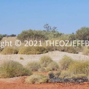 HWGACh100-52 | Travelling Around Australia with Jeff Banks