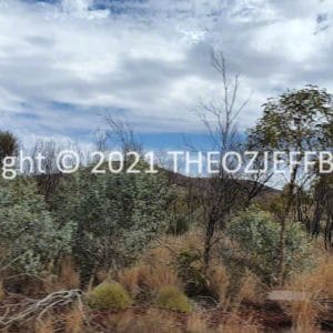 HWGACh103-98 | Travelling Around Australia with Jeff Banks