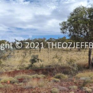 HWGACh103-99 | Travelling Around Australia with Jeff Banks