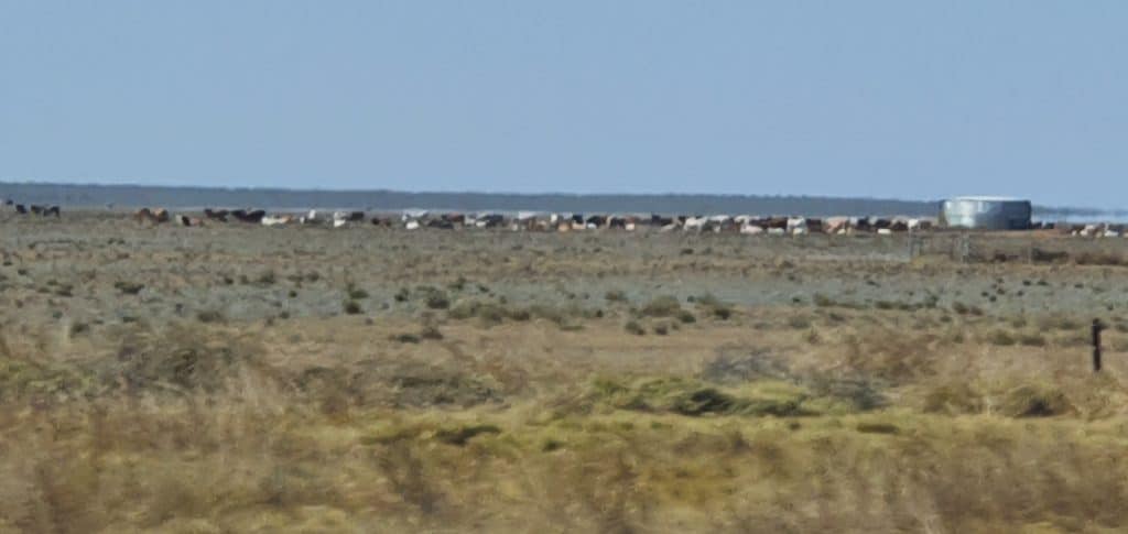 Here We Go Again - Chapter 92 - Broome Day 14 | Travelling Around Australia with Jeff Banks