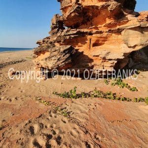 HWGACh94-39 | Travelling Around Australia with Jeff Banks