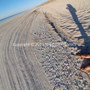 HWGACh95-50 | Travelling Around Australia with Jeff Banks