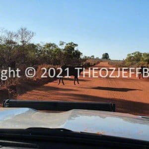 HWGACh96-42 | Travelling Around Australia with Jeff Banks