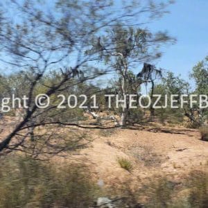 HWGACh99-30 | Travelling Around Australia with Jeff Banks