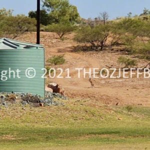 HWGACh99-84 | Travelling Around Australia with Jeff Banks
