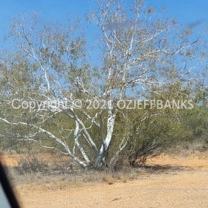 ISOCCh01-112C | Travelling Around Australia with Jeff Banks