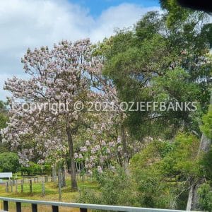 ISOCCh01-223F | Travelling Around Australia with Jeff Banks