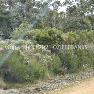 ISOCCh01-232F | Travelling Around Australia with Jeff Banks