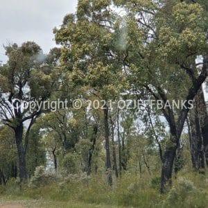 ISOCCh01-238F | Travelling Around Australia with Jeff Banks