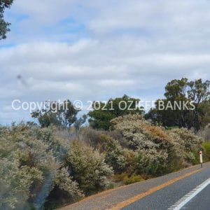 ISOCCh01-239F | Travelling Around Australia with Jeff Banks