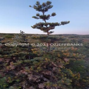 ISOCCh01-286F | Travelling Around Australia with Jeff Banks