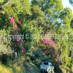 ISOCCh01-398F | Travelling Around Australia with Jeff Banks