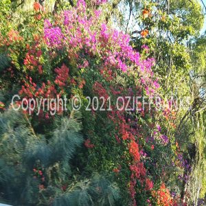ISOCCh01-399F | Travelling Around Australia with Jeff Banks