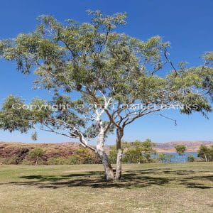 ISOCCh01-43C | Travelling Around Australia with Jeff Banks