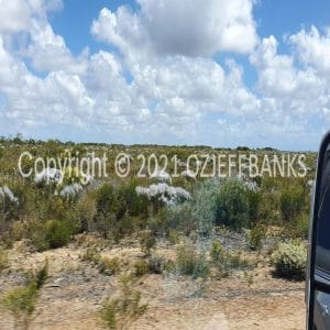 ISOCCh01-535F | Travelling Around Australia with Jeff Banks