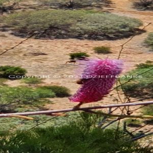 ISOCCh01-545F | Travelling Around Australia with Jeff Banks