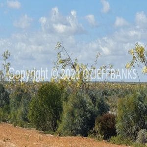 ISOCCh01-642F | Travelling Around Australia with Jeff Banks