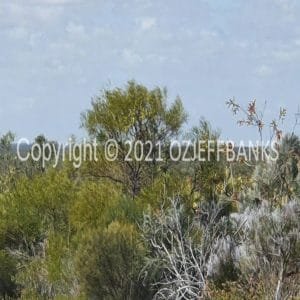 ISOCCh01-643F | Travelling Around Australia with Jeff Banks