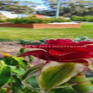 ISOCCh02-281F | Travelling Around Australia with Jeff Banks